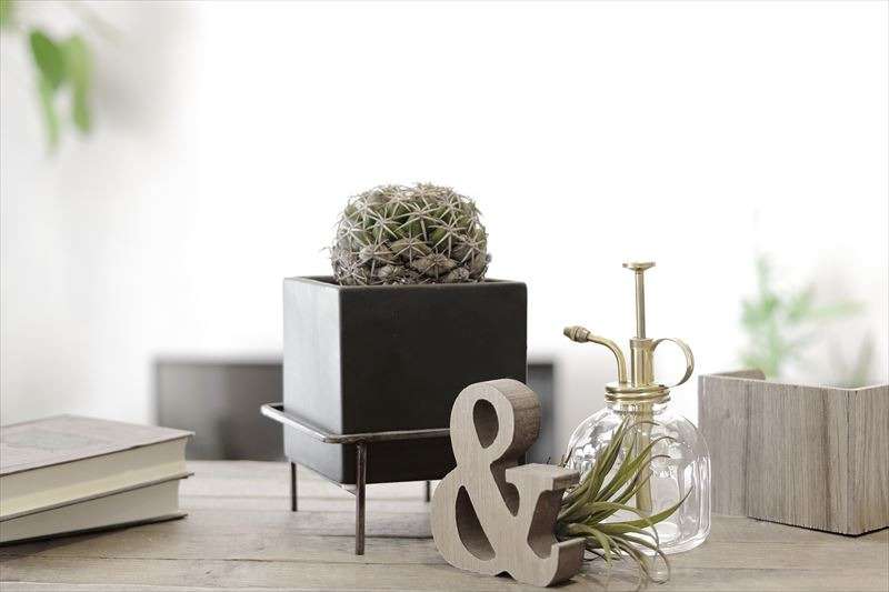 アトリエクロリ